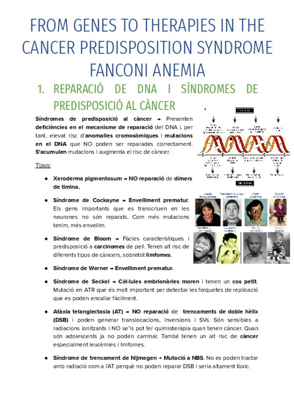 Miniatura del documento FROM-GENES-TO-THERAPIES-IN-THE-CANCER-PREDISPOSITION-SYNDROME-FANCONI-ANEMIA.pdf