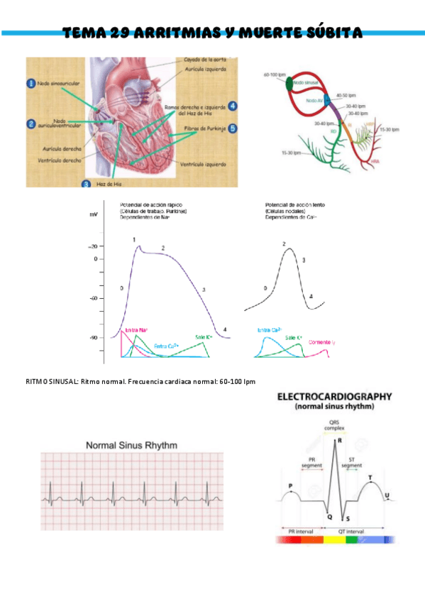 Miniatura del documento T29-Patologia-medica-general.pdf