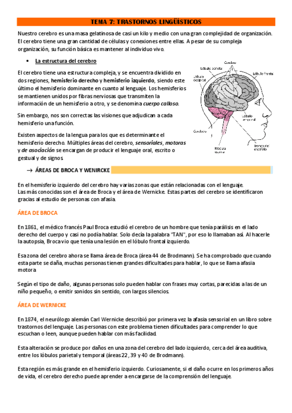 Miniatura del documento TEMA-7.pdf