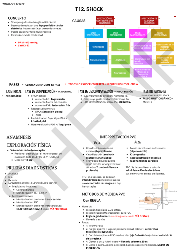 Miniatura del documento T12-SHOCK.pdf