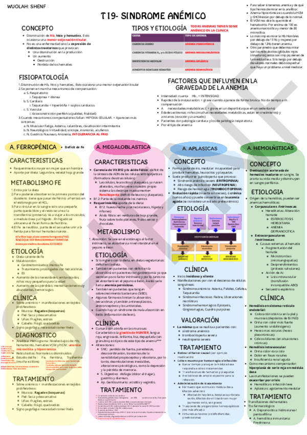 Miniatura del documento T19-SDME-ANEMICO.pdf
