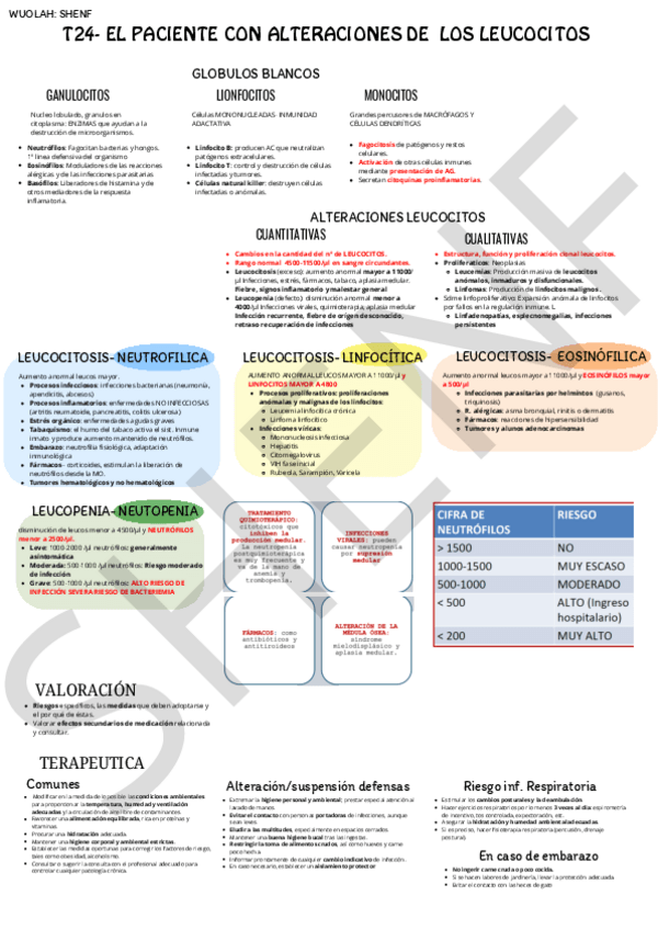 Miniatura del documento T24-PCT-ALTERACIONES-LEUCOCITOS.pdf