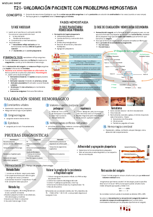 Miniatura del documento T21-VALORACION-PCT-PROBLEMAS-HEMOSTASIA.pdf