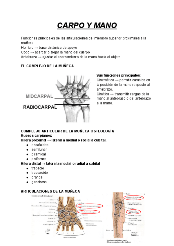 Miniatura del documento CARPO-Y-MANO.pdf