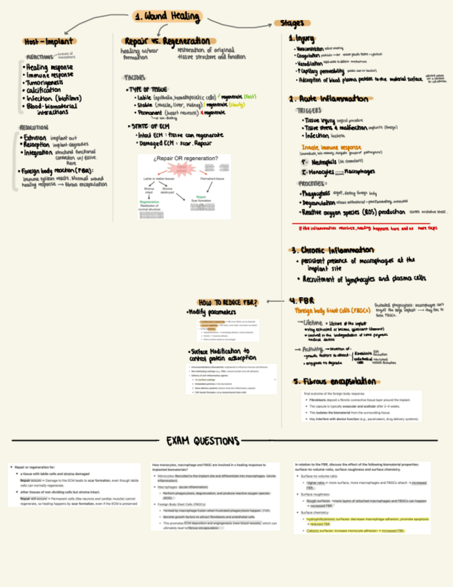 Miniatura del documento Final-Exam-Biomat.pdf