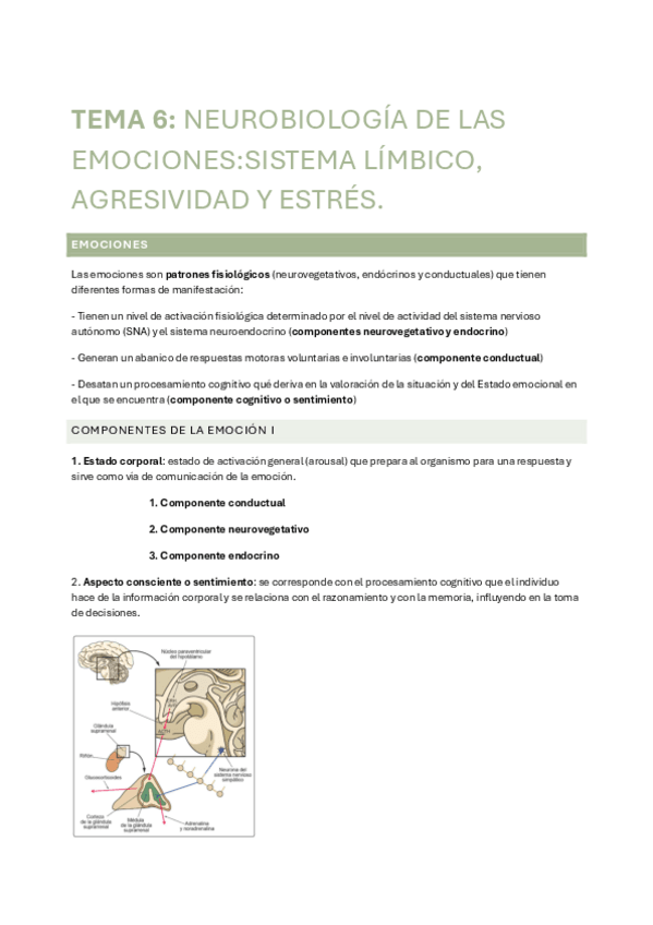 Miniatura del documento TEMA-6-FISIOLOGIA.pdf