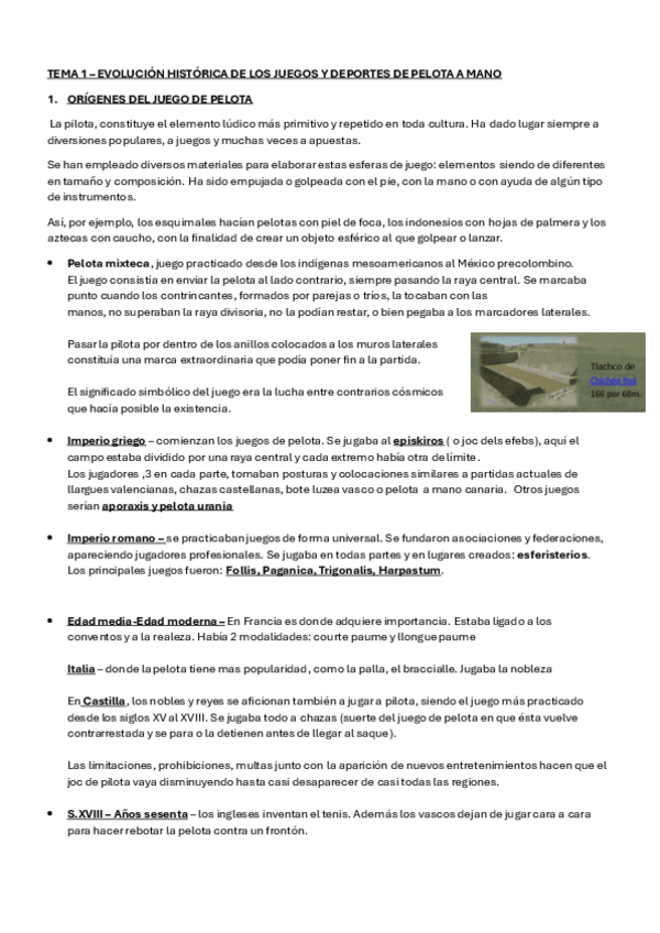 Miniatura del documento Tema-1-pelota.pdf