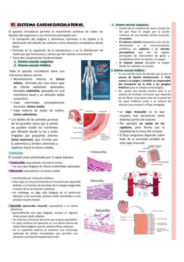 Miniatura del documento T7.pdf