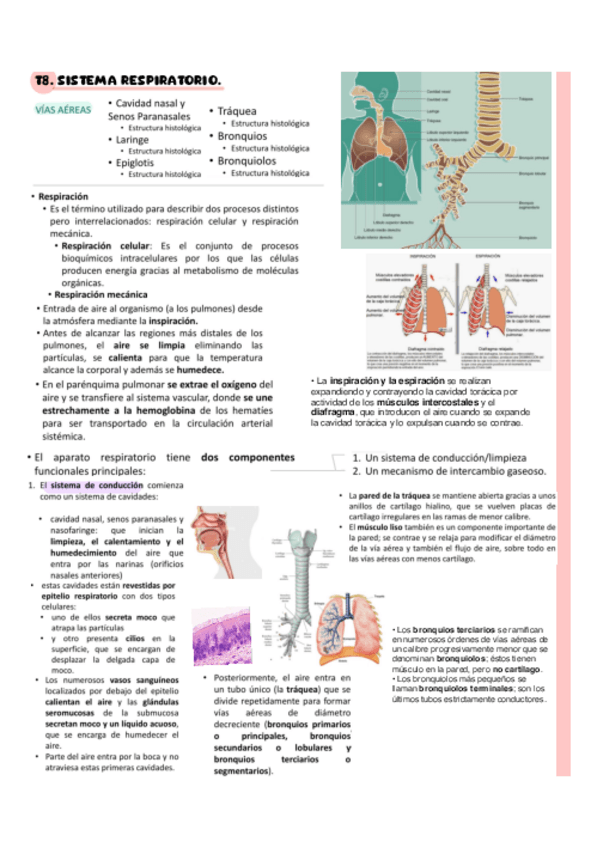 Miniatura del documento T8.pdf
