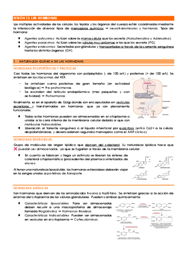 Miniatura del documento sesion-13-14-y-15-fisiologia.pdf