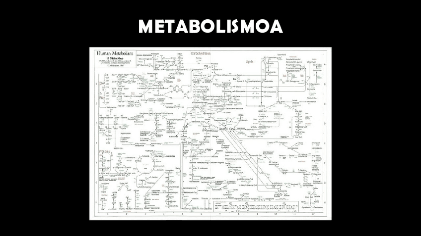 Miniatura del documento 6. Metabolismoa - Aurkezpena.pdf