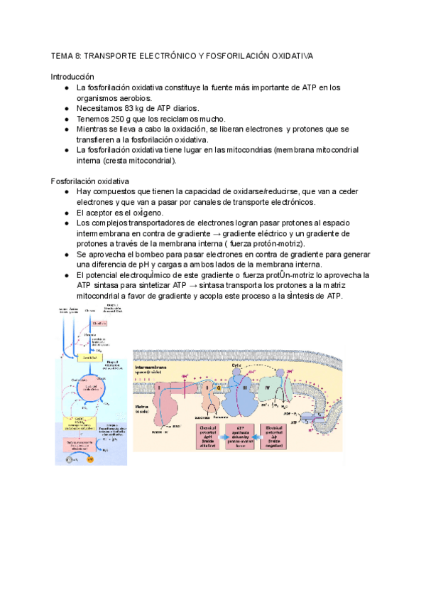 Miniatura del documento Bioquimica-Tema-8.pdf