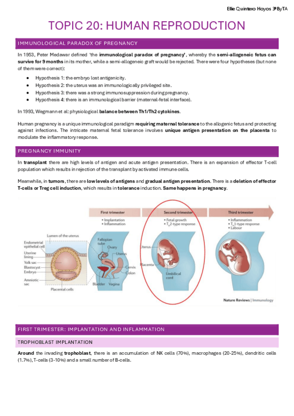Miniatura del documento Topic-20-Human-Reproduction.pdf