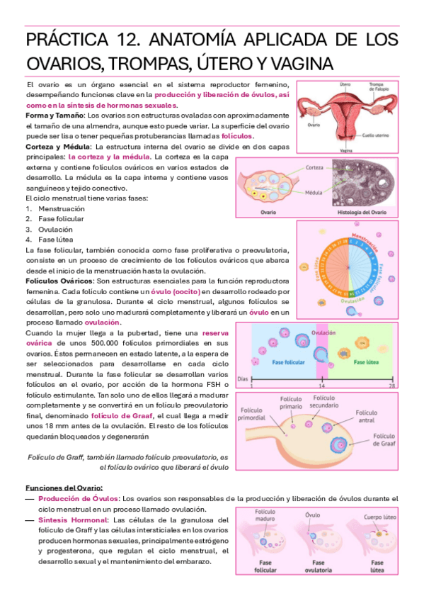 Miniatura del documento PRACTICA-12.pdf
