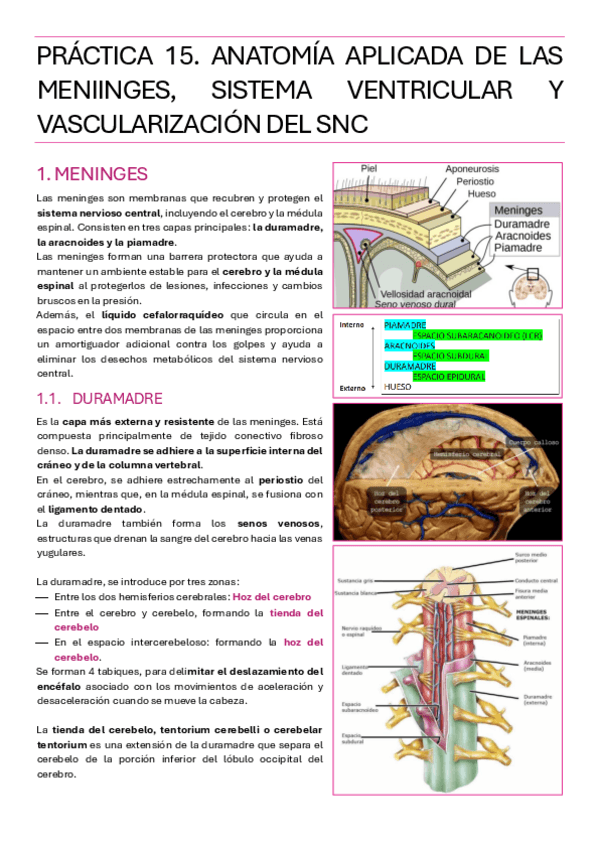 Miniatura del documento PRACTICA-15.pdf