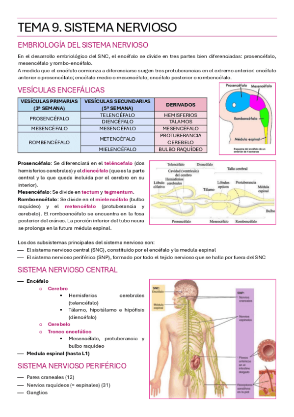 Miniatura del documento TEMA-9.pdf