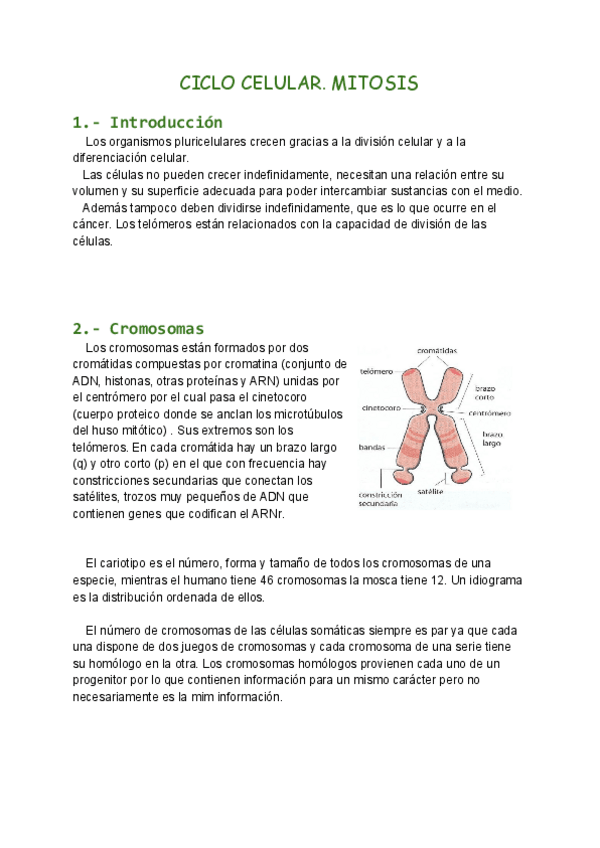 Miniatura del documento (*)TEMA 8 BIO UNI.pdf