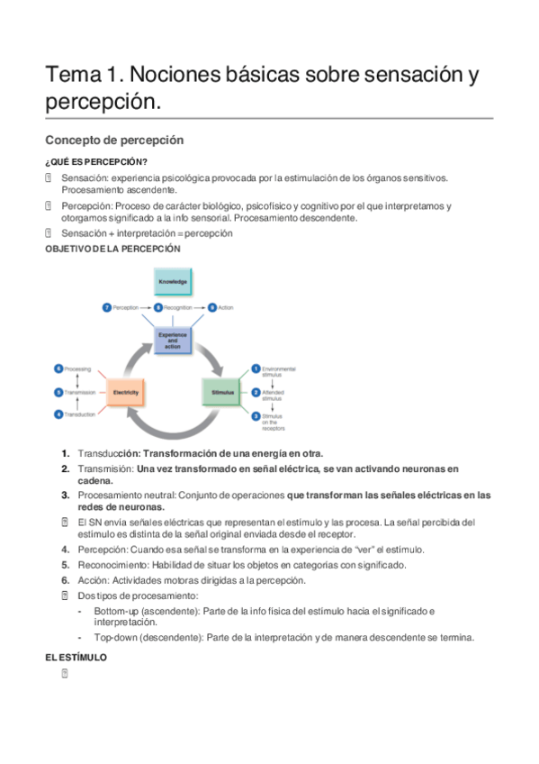 Miniatura del documento PERCEPCION-COMPLETO.pdf