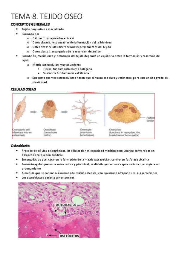 Miniatura del documento TEMA-8.pdf