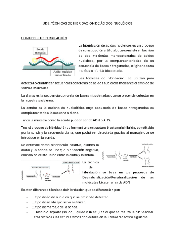 Miniatura del documento BMCHibridacion-de-acidos-nucleicos-UD5.pdf