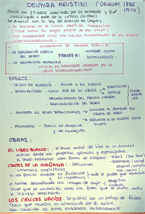 Miniatura del documento DELMIRA-AGUSTINI.pdf