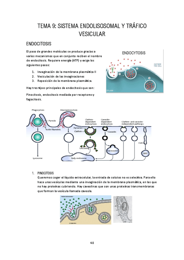 Miniatura del documento TEMA-9.pdf