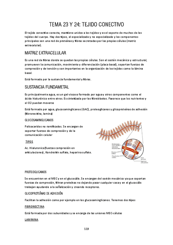 Miniatura del documento TEMA-23-Y-24.pdf