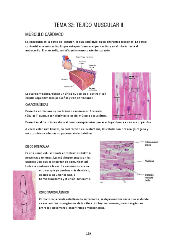 Miniatura del documento TEMA-32.pdf