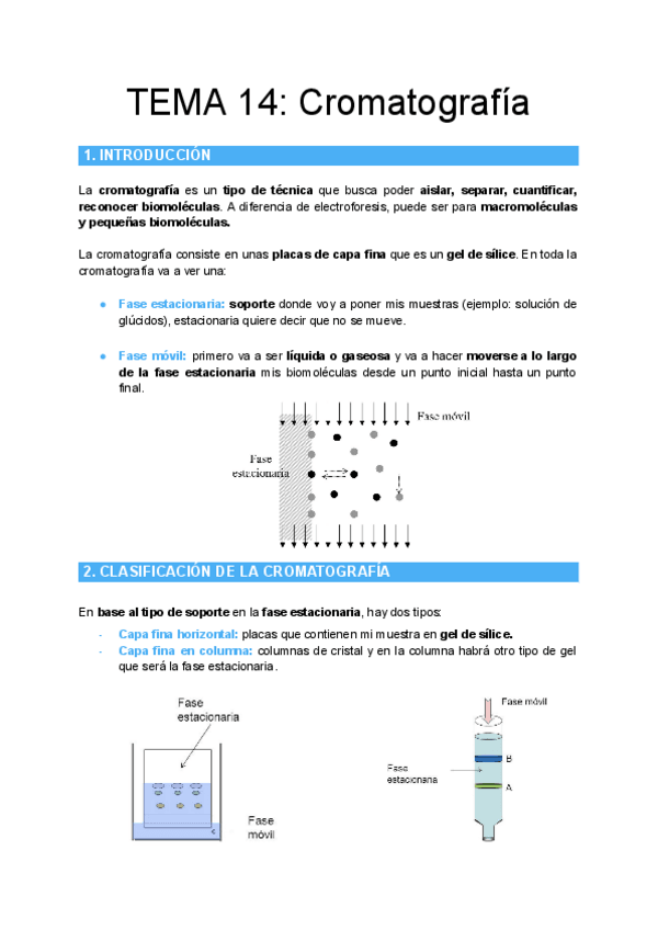 Miniatura del documento TEMA-14-Cromatografia.pdf
