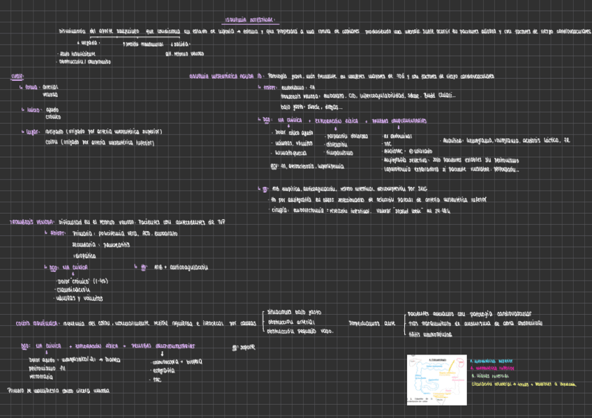 Miniatura del documento ISQUEMIA-INTESTINAL.pdf