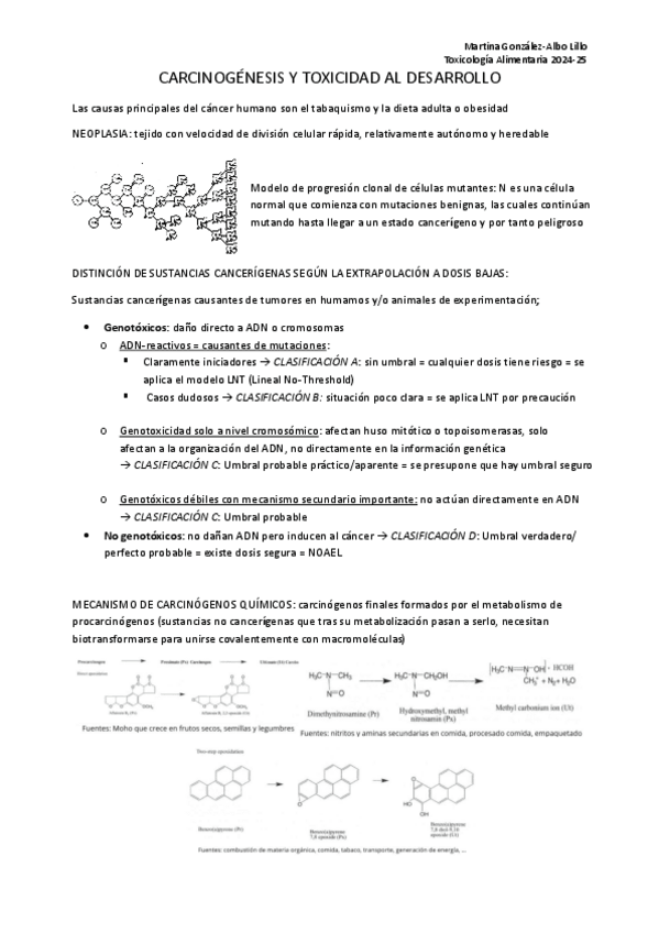 Miniatura del documento 7.-Carcinogenesis.pdf