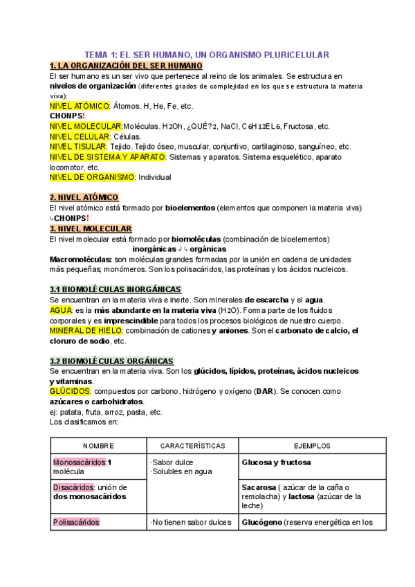 Miniatura del documento BIO-3RO-ESO.-TEMA-1-3-4-EL-CUERPO-HUMANO-SISTEMA-DIGESTIVO-Y-TEJIDOS.pdf