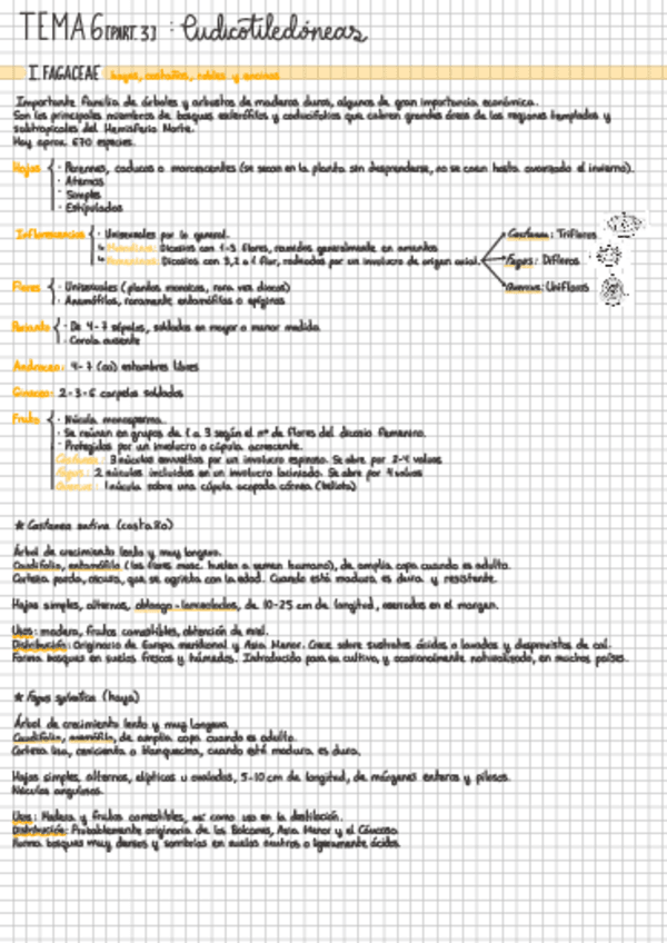 Miniatura del documento TEMA-64-Eudicotiledoneas.pdf