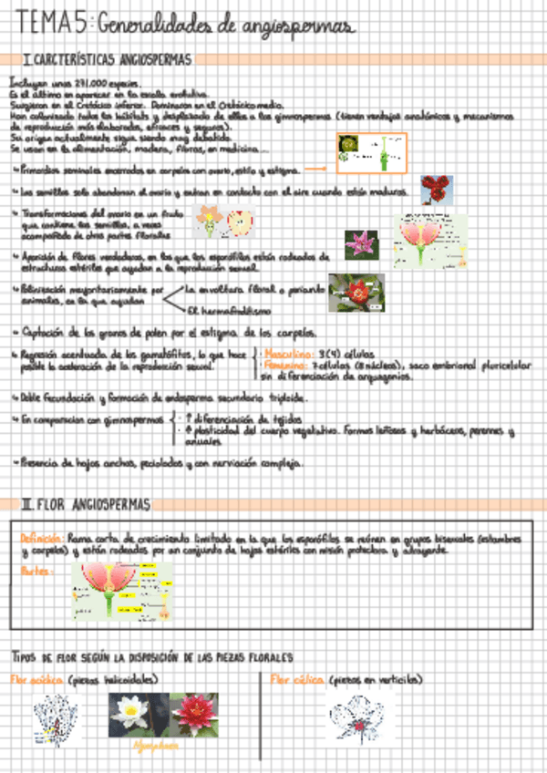 Miniatura del documento TEMA-5-Generalidades-angiospermas.pdf