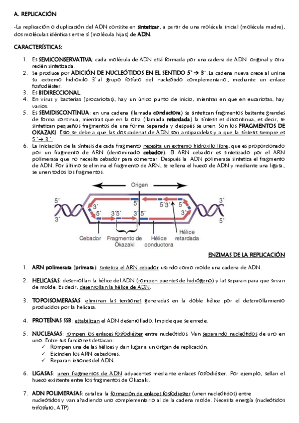 Miniatura del documento FLUJO-INFORMACION-GENETICA.pdf