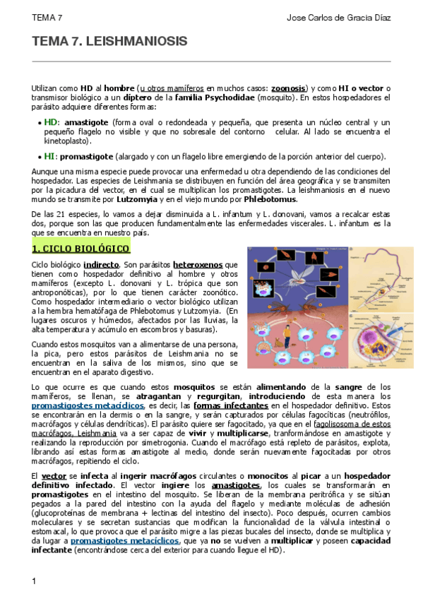 Miniatura del documento TEMA 7. LEISHMANIOSIS.pdf