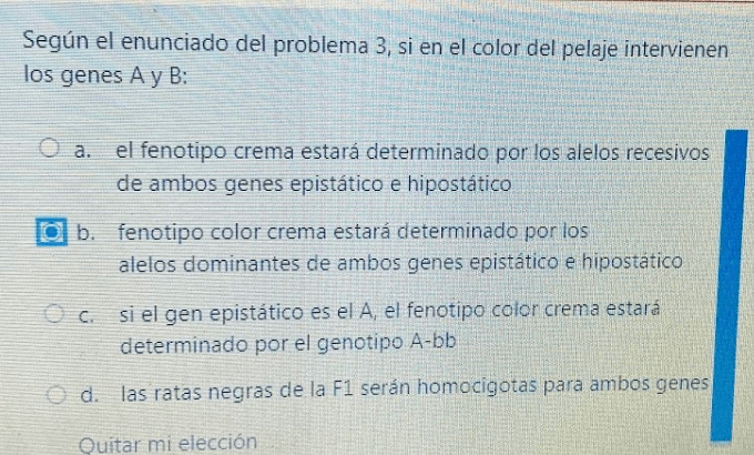 Miniatura del documento IMG8579.jpeg