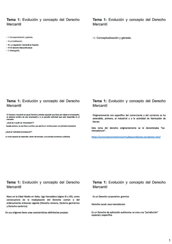 Miniatura del documento Power-points-mercantil-del-1-al-20-comprimidos-y-numerados.pdf