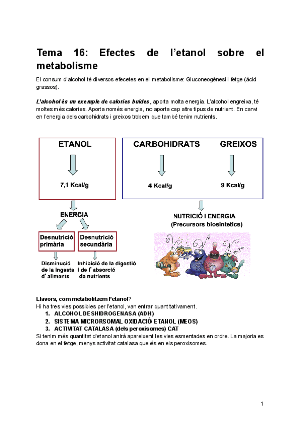 Miniatura del documento Tema-16-Efectes-de-letanol-sobre-el-metabolisme.pdf