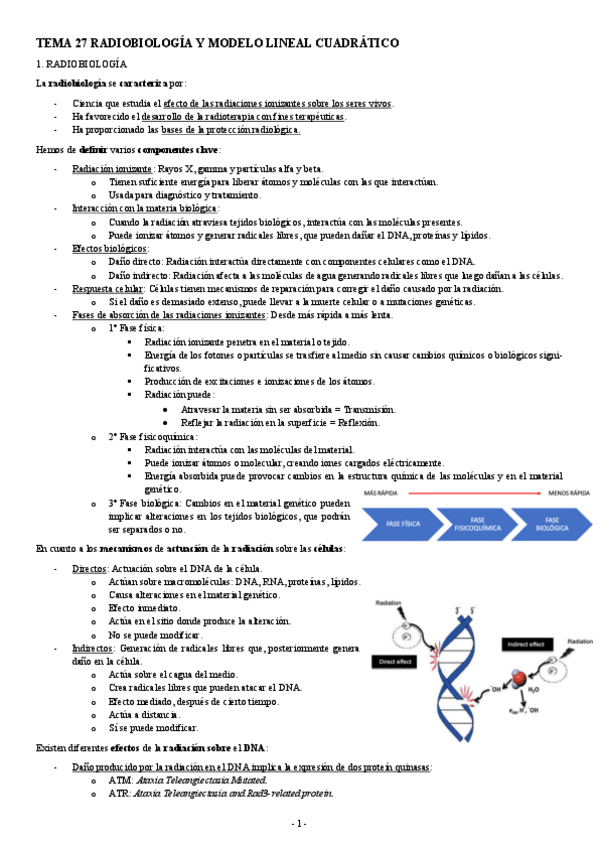 Miniatura del documento IMAGEN-BIOMEDICA-TEMA-27-RADIOBIOLOGIA-Y-MODELO-LINEAL-CUADRATICO.pdf