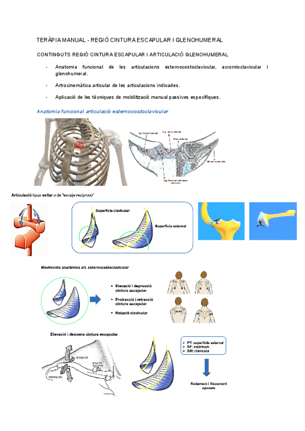 Miniatura del documento TERAPIA-MANUAL-parte-2.pdf