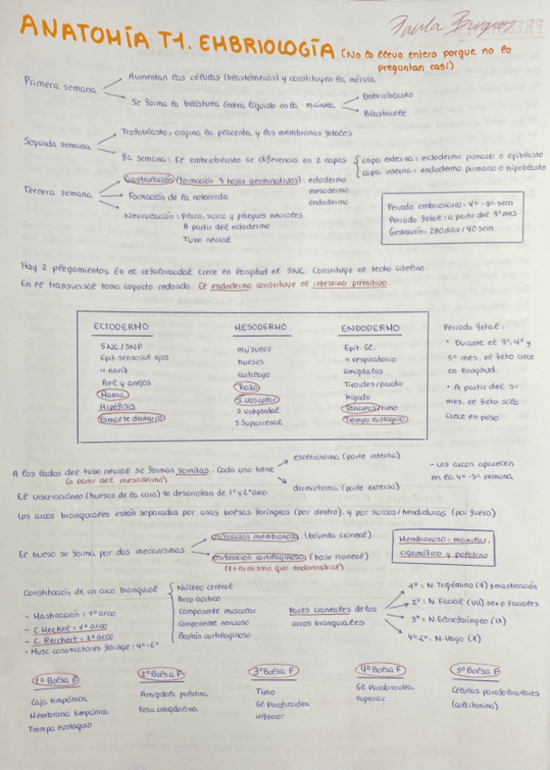 Miniatura del documento RESUMEN-ANATO-II-TODO-EL-CURSO.pdf