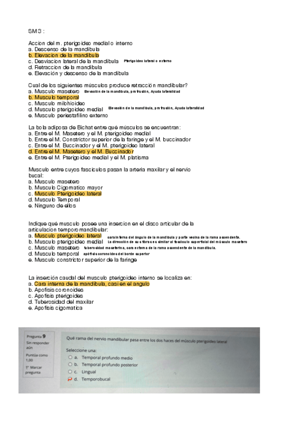 Miniatura del documento SM-ANNALE.pdf