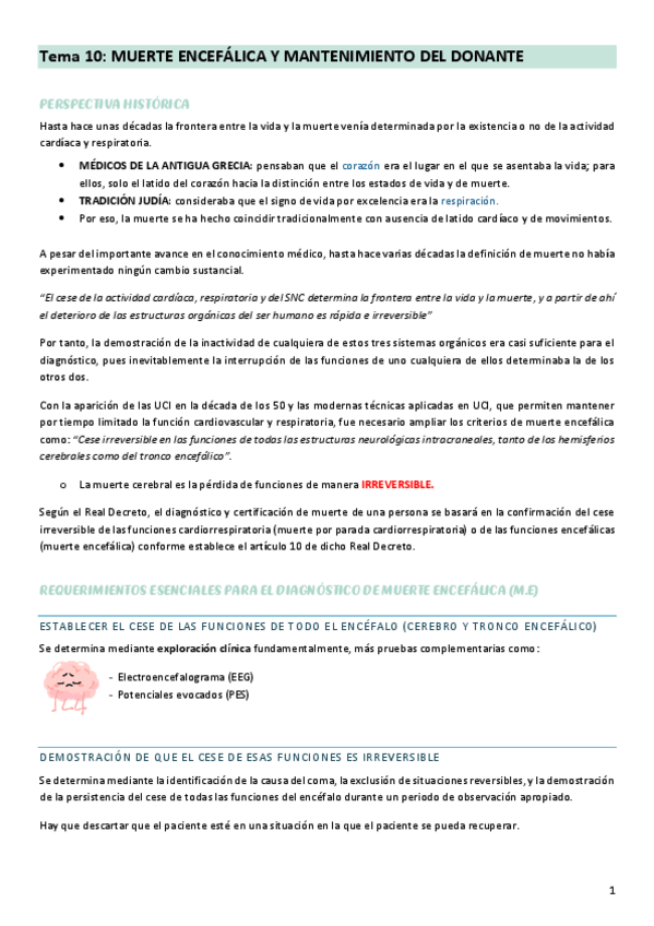 Miniatura del documento Tema-10-especializadas.pdf