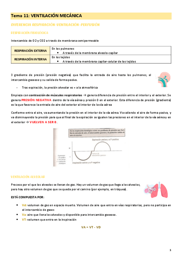 Miniatura del documento Tema-11-especializadas.pdf