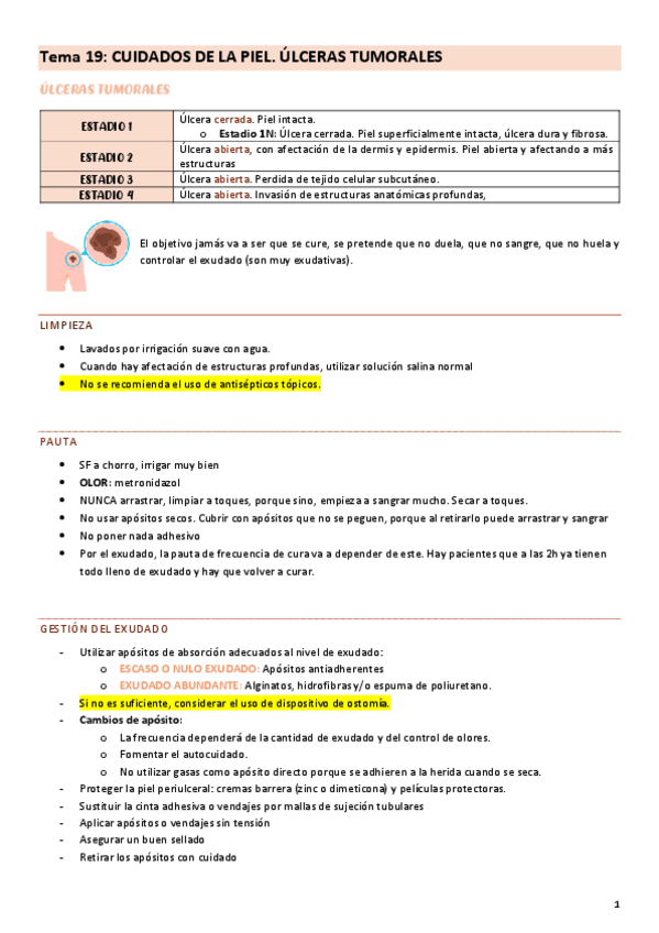 Miniatura del documento Tema-19-paliativos.pdf