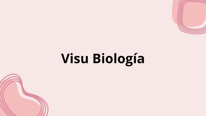 Miniatura del documento Examen-visu-biologia202505231836120000.pdf