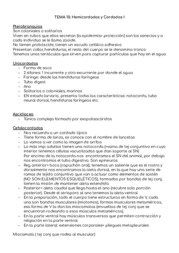 Miniatura del documento Hemicordados-y-Cordados.pdf