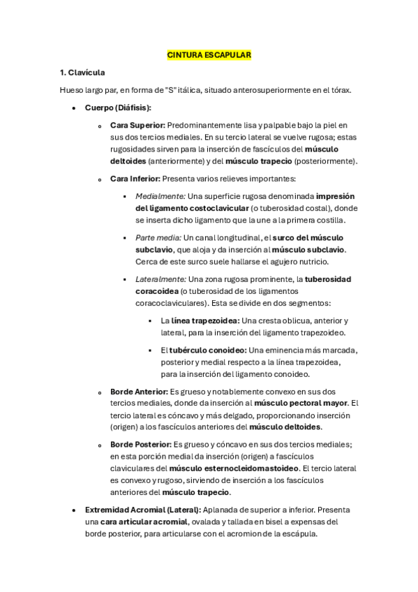 Miniatura del documento RESUMEN-MIEMBRO-SUPERIOR-ROUVIERE-ANATOMIA.pdf