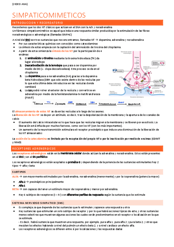 Miniatura del documento F.7.-SIMPATICOMIMETICOS.pdf